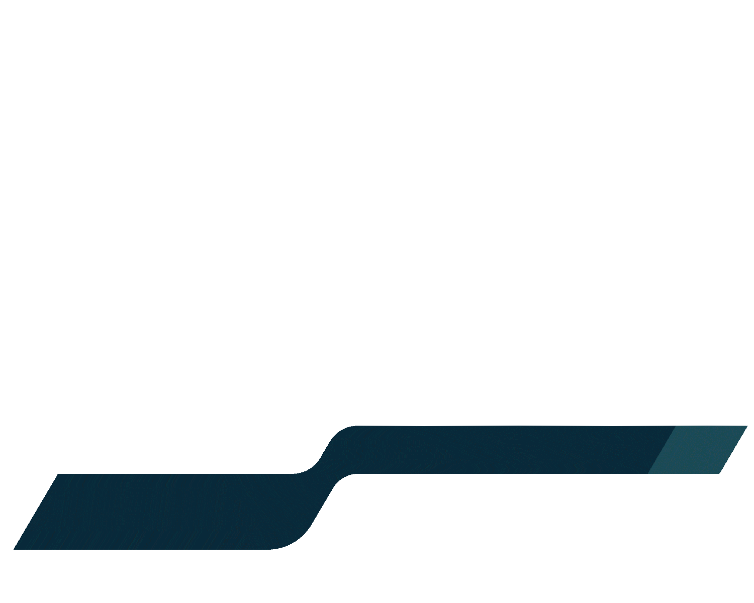 revenue lifecycle management